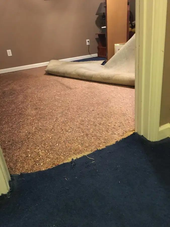 Carpet pad removal revealing water damage during Drying & Dehumidification in Fort Myers Shores