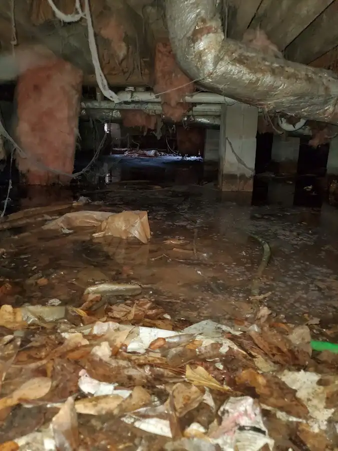 Crawl space flood assessment for Commercial Water Damage Restoration in Fort Myers Shores